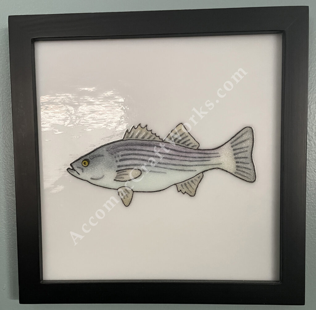 Rockfish Glass Print