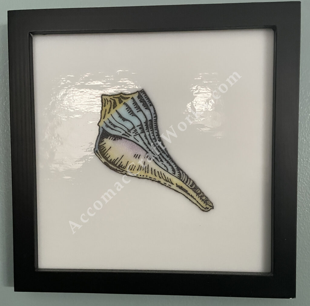 Conch shell glass print