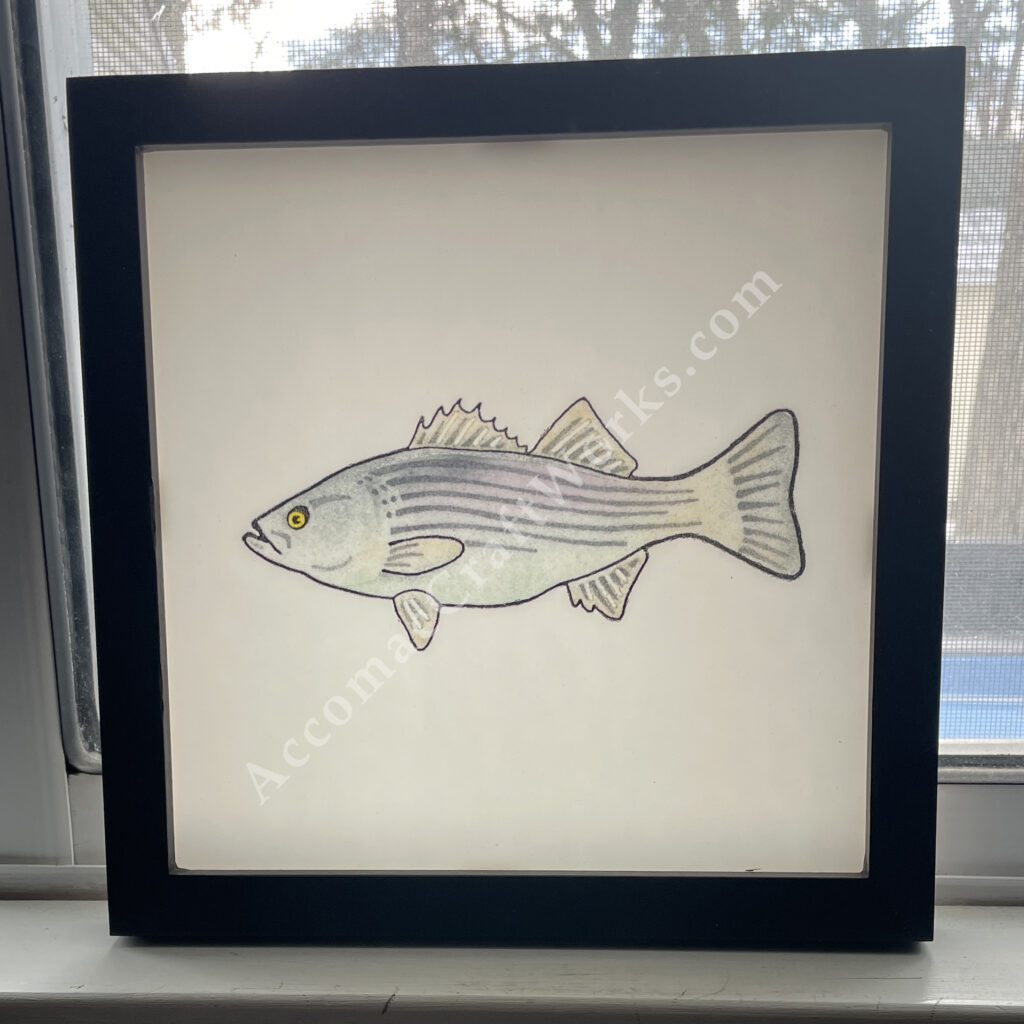 Rockfish Glass Print